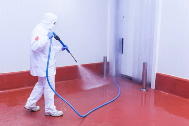 Best Spring Cleaning  in Bohners Lake, WI